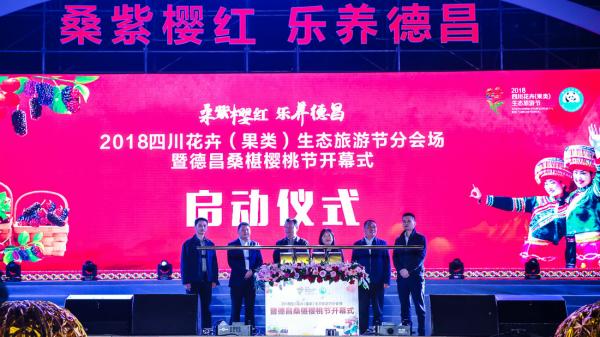 商業活動策劃的主要類型有哪些呢？